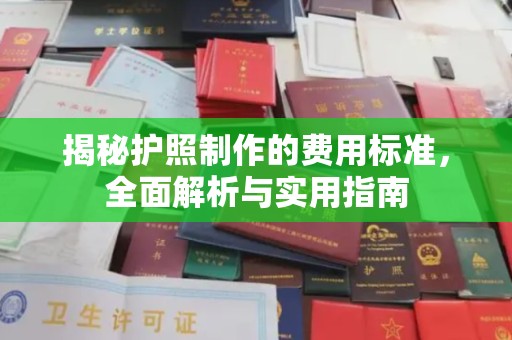 宛城揭秘护照制作的费用标准，全面解析与实用指南
