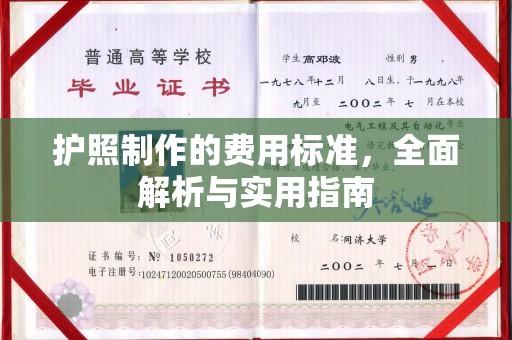 潮阳护照制作的费用标准，全面解析与实用指南