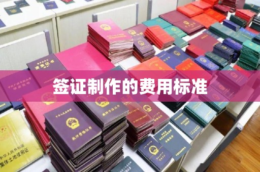 宜都签证制作的费用标准