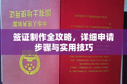 新野签证制作全攻略，详细申请步骤与实用技巧